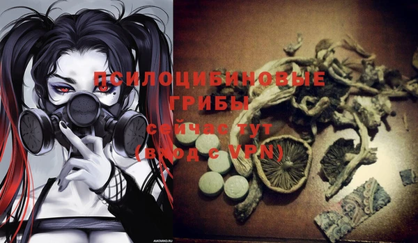 гашик Бронницы